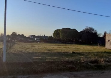 TERRENO EN CORONEL DORREGO EN VENTA