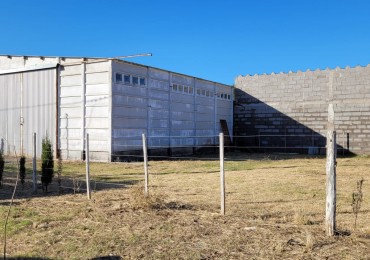 GALPON EN VENTA EN CORONEL DORREGO