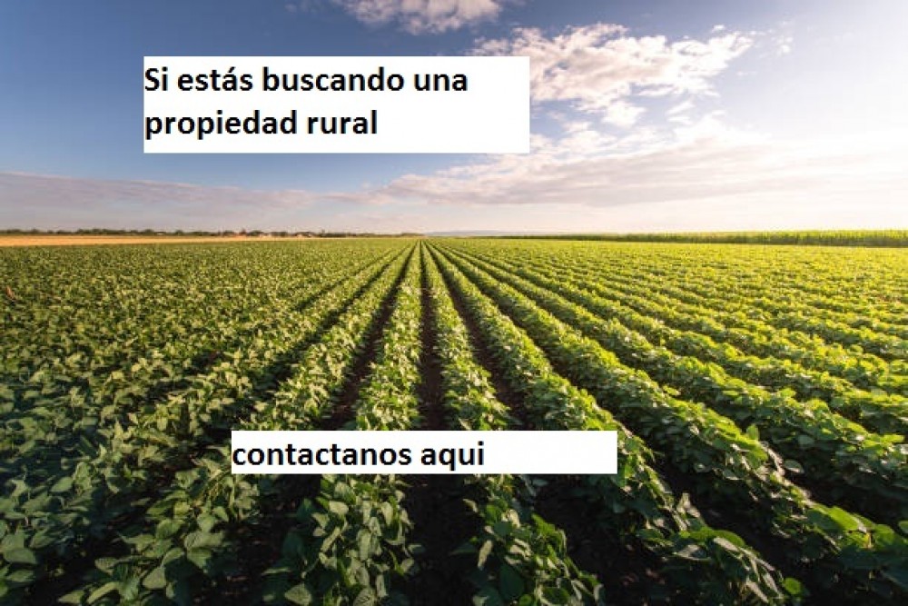 Si estás buscando una propiedad rural en la zona de bahia blanca,  Tres Arroyos, Coronel Dorrego, Coronel Pringles, Médanos, Villarino, Bahía Blanca, Villa Iris y Oriente