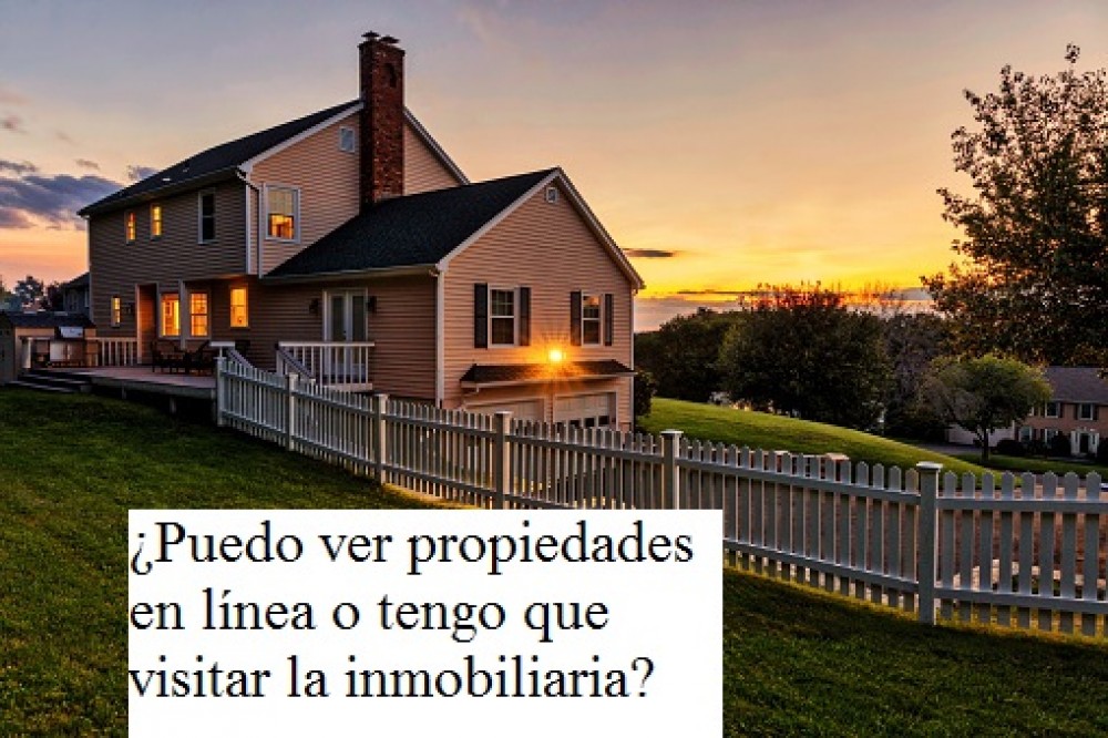 ¿Puedo ver propiedades en línea o tengo que visitar la inmobiliaria?