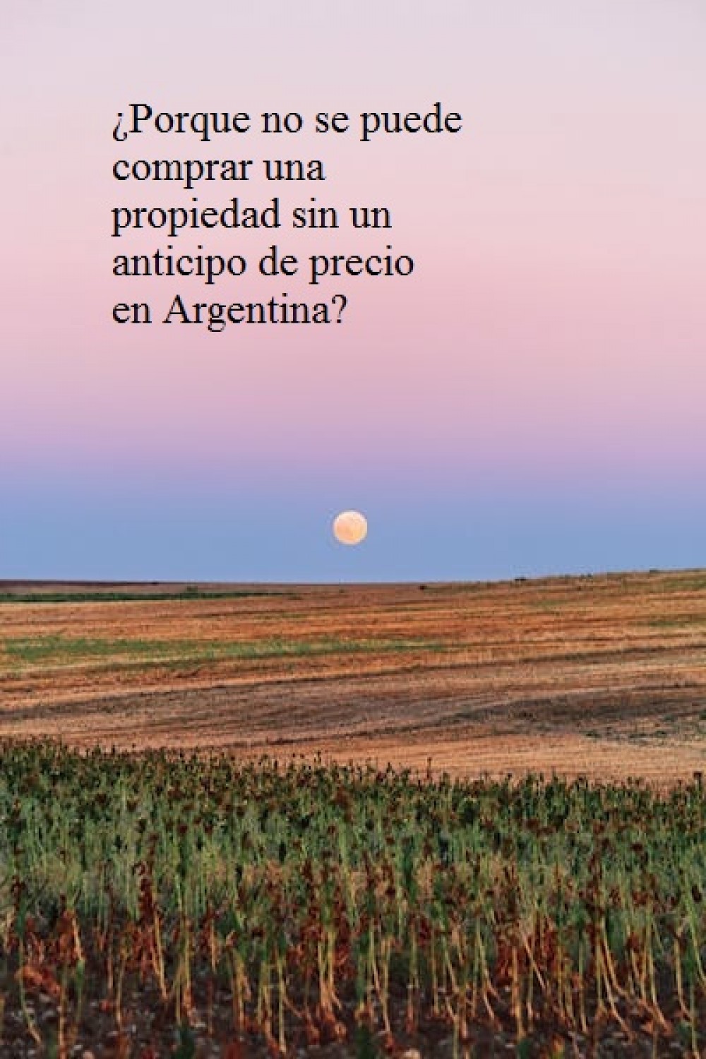 ¿Porque no se puede comprar una propiedad sin un anticipo de precio en Argentina?