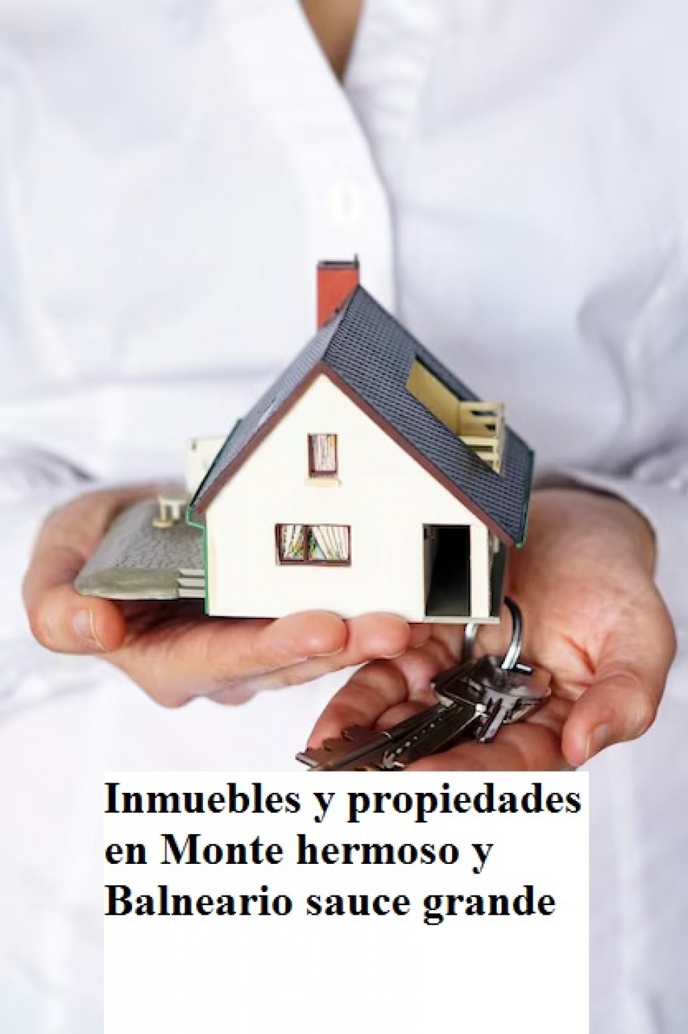 Inmuebles y propiedades en Monte hermoso y Balneario sauce grande