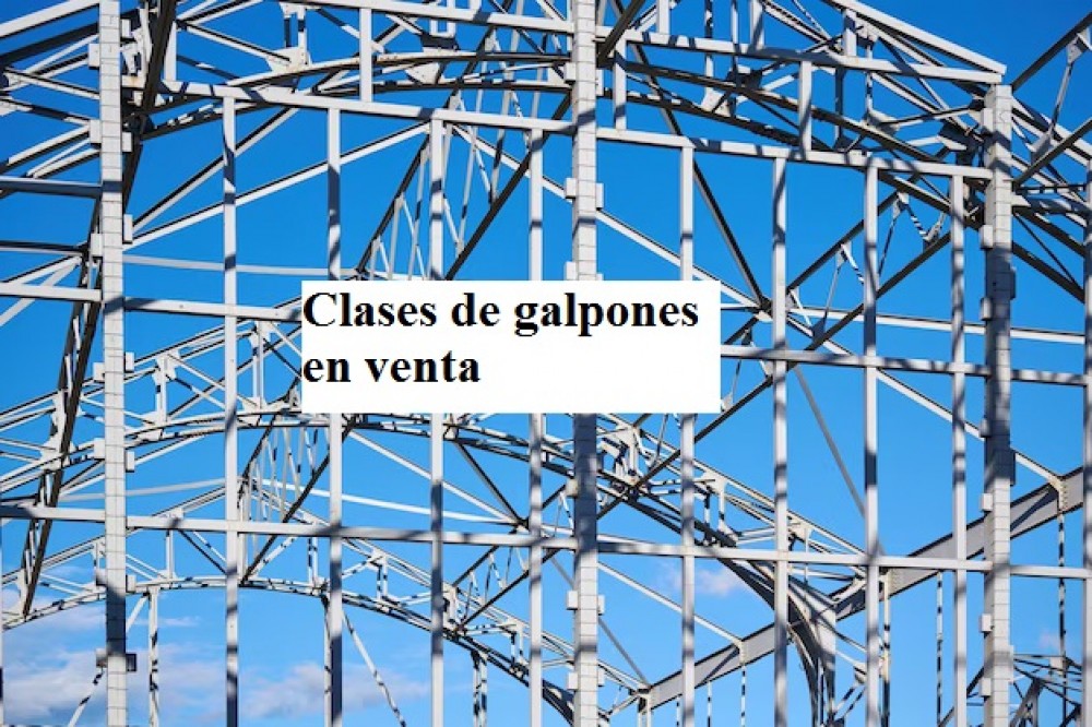 Clases de galpones en venta 