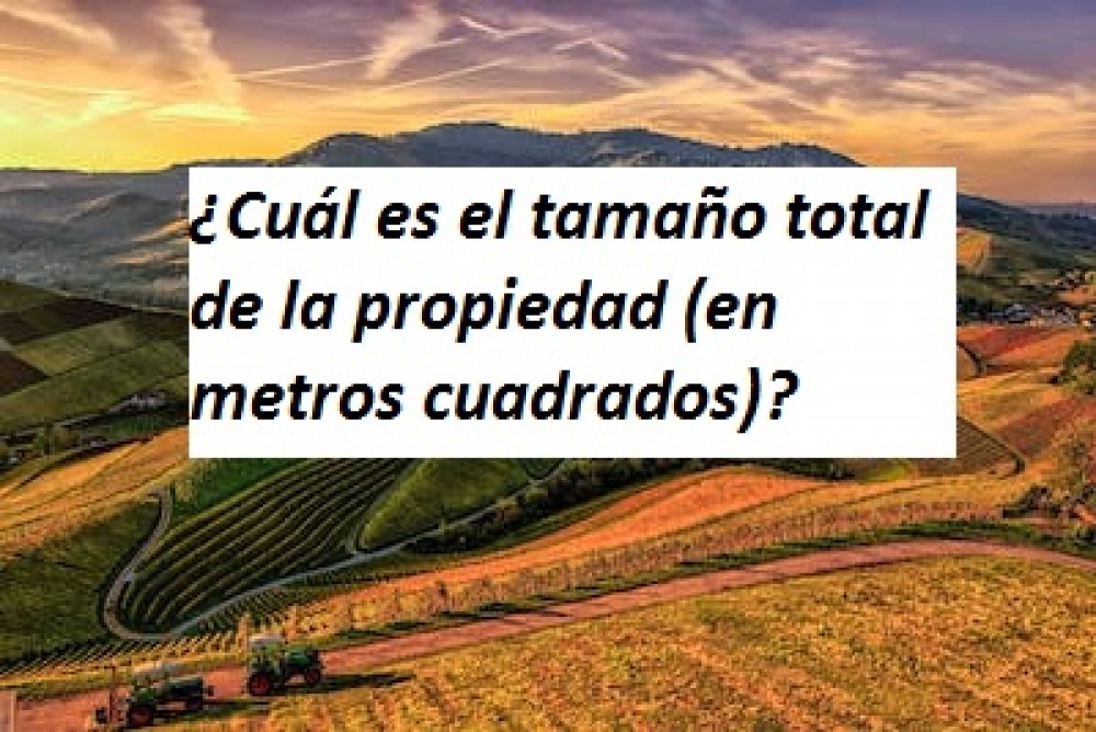 ¿Cuál es el tamaño total de la propiedad (en metros cuadrados)?