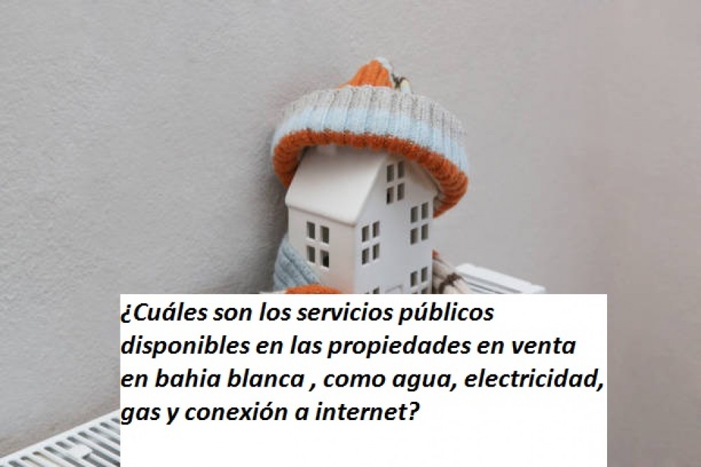  ¿Cuáles son los servicios públicos disponibles en las propiedades en venta en bahia blanca , como agua, electricidad, gas y conexión a internet?