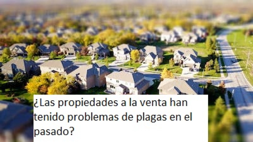 ¿Las propiedades a la venta han tenido problemas de plagas en el pasado?