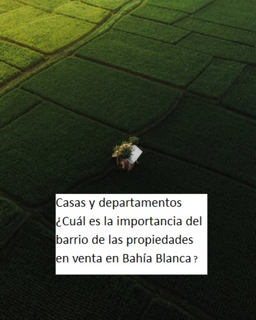 Casas y departamentos  ¿Cuál es la importancia del barrio de las propiedades en venta en Bahía Blanca ?