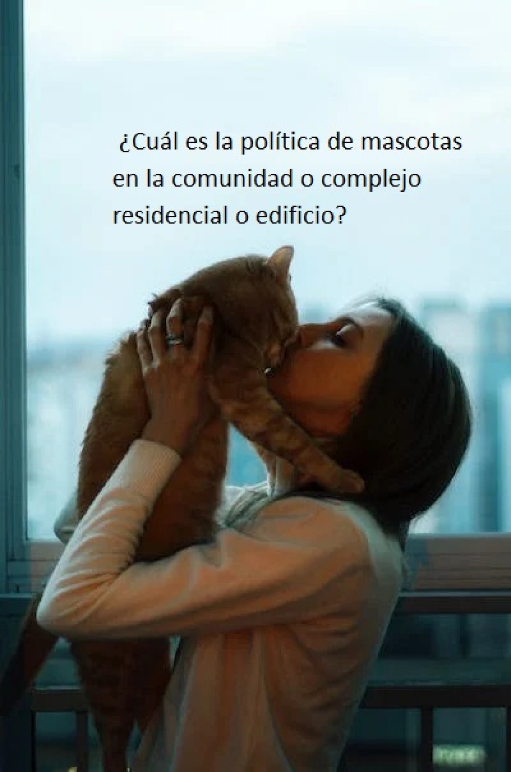  ¿Cuál es la política de mascotas en la comunidad o complejo residencial o edificio en bahia blanca?