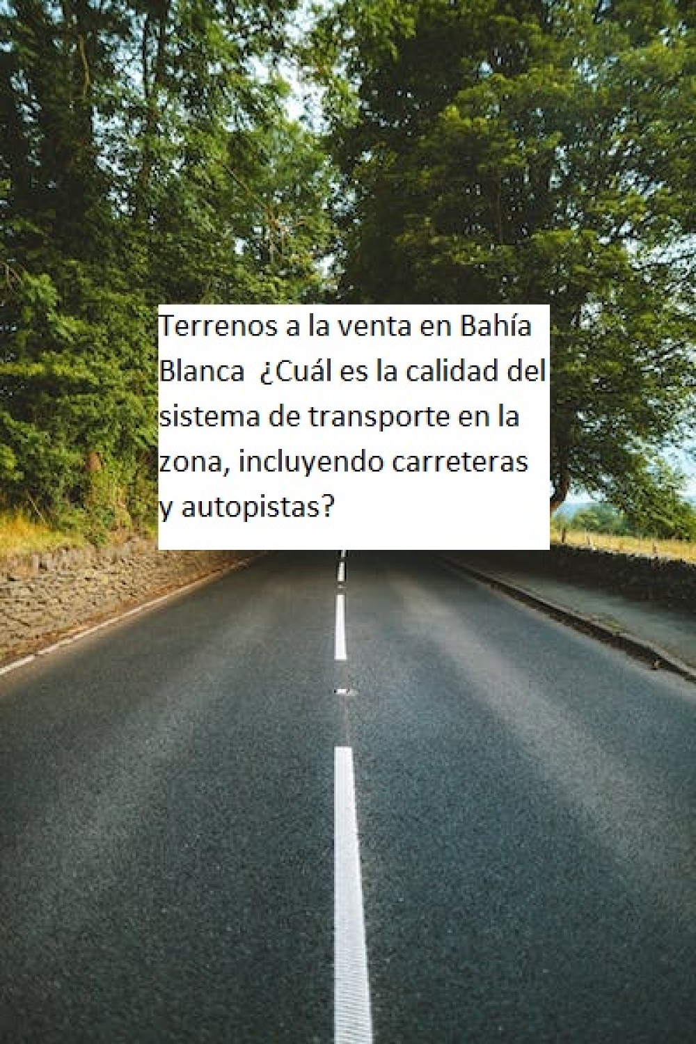 Terrenos a la venta en Bahía Blanca  ¿Cuál es la calidad del sistema de transporte en la zona, incluyendo carreteras y autopistas?