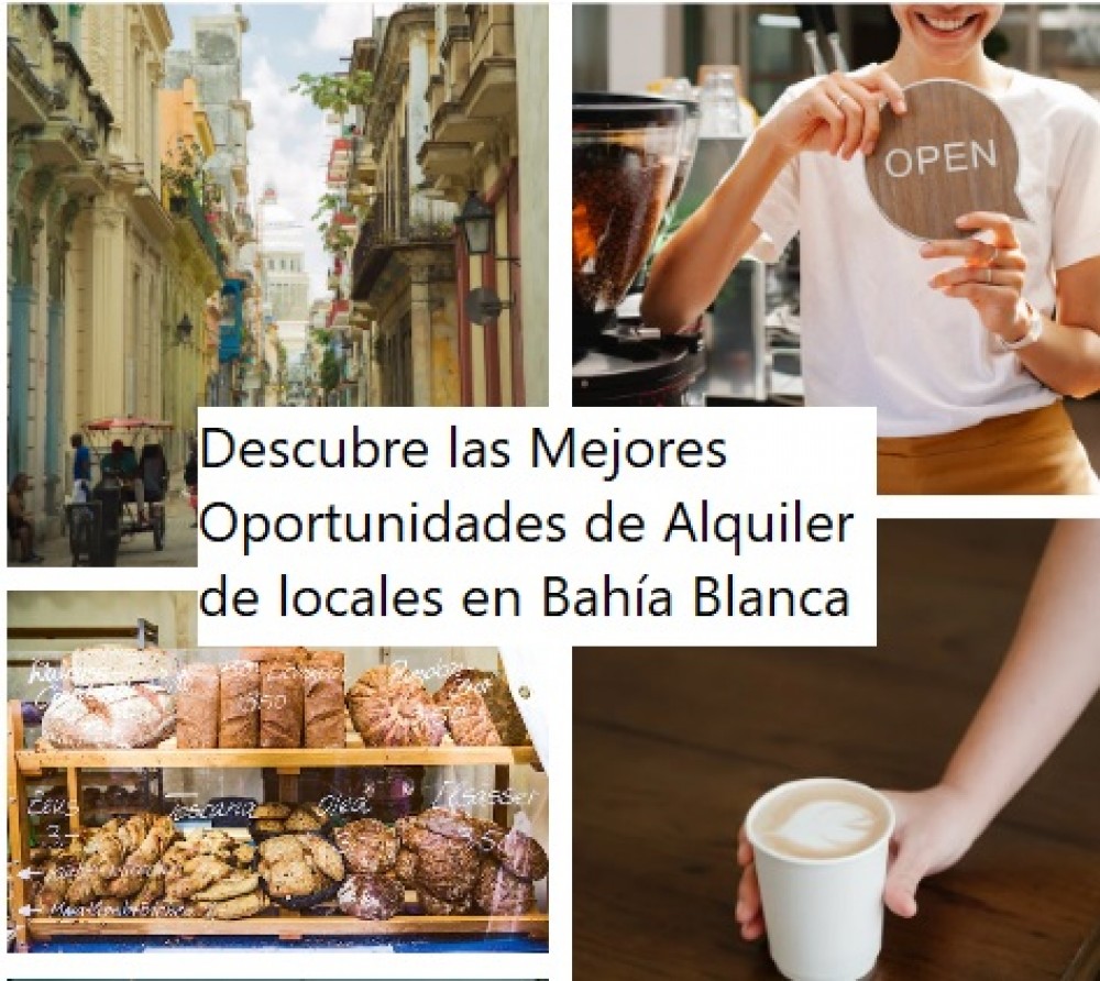 ¡Encuentra el Local Comercial Perfecto con Nuestra Ayuda Profesional! Descubre las Mejores Oportunidades de Alquiler en Bahía Blanca