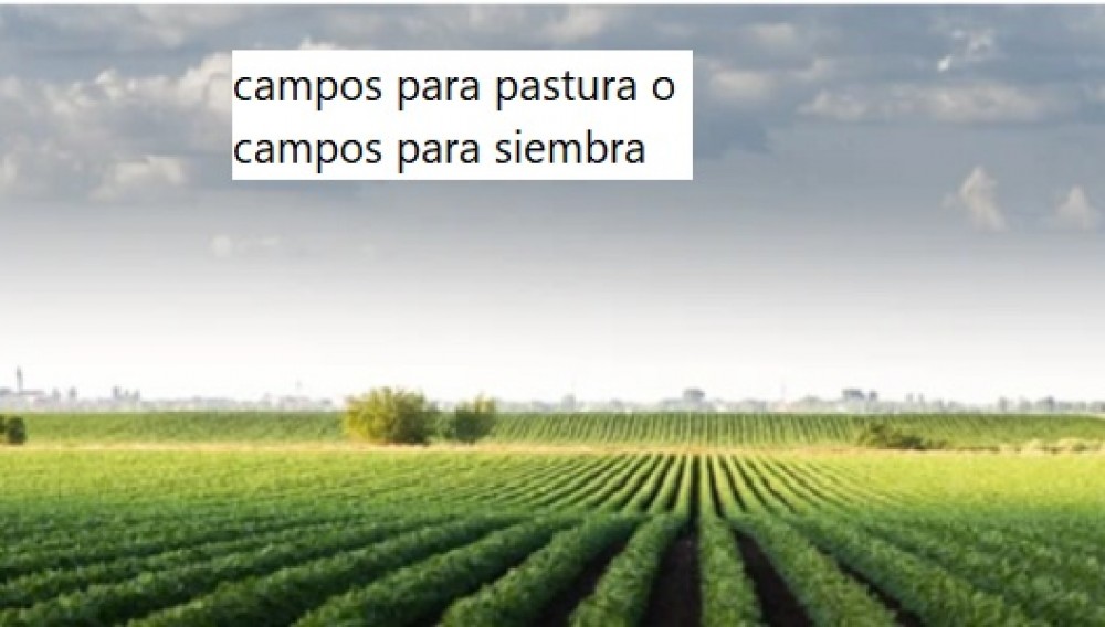 Campos para pastura o campos para siembra