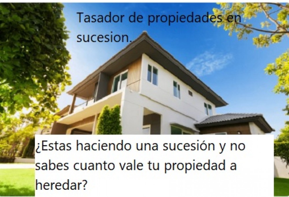 Tasador de propiedades en sucesion. 