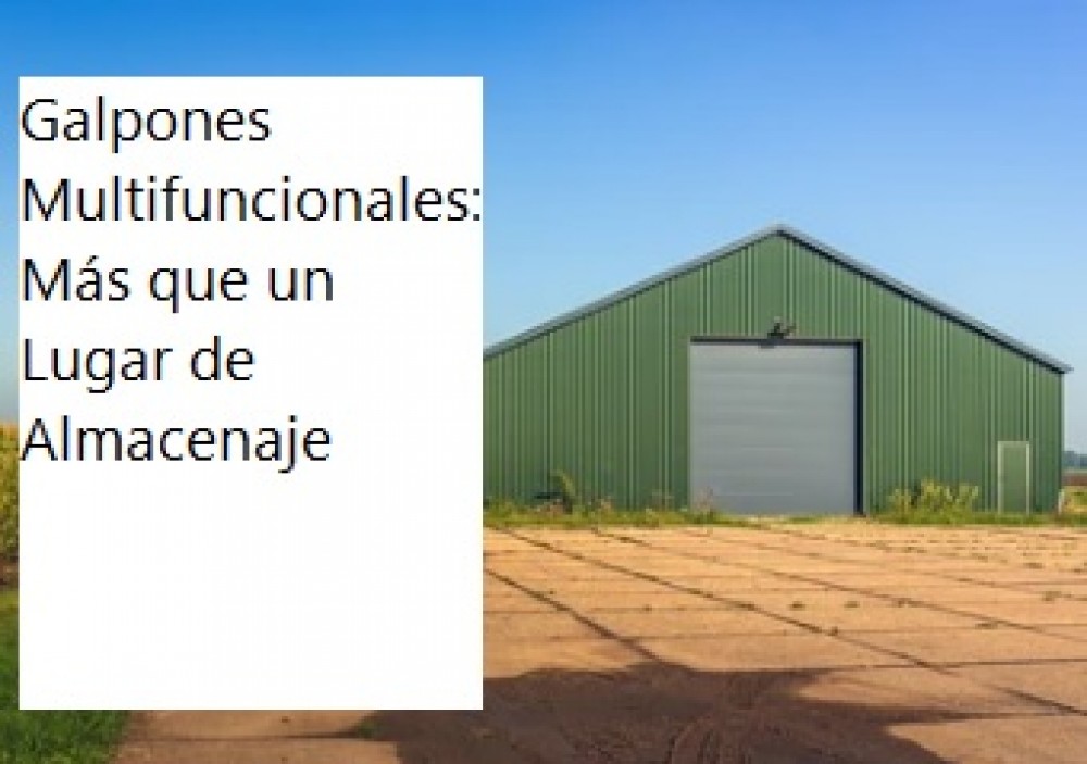 Galpones Multifuncionales: Más que un Lugar de Almacenaje