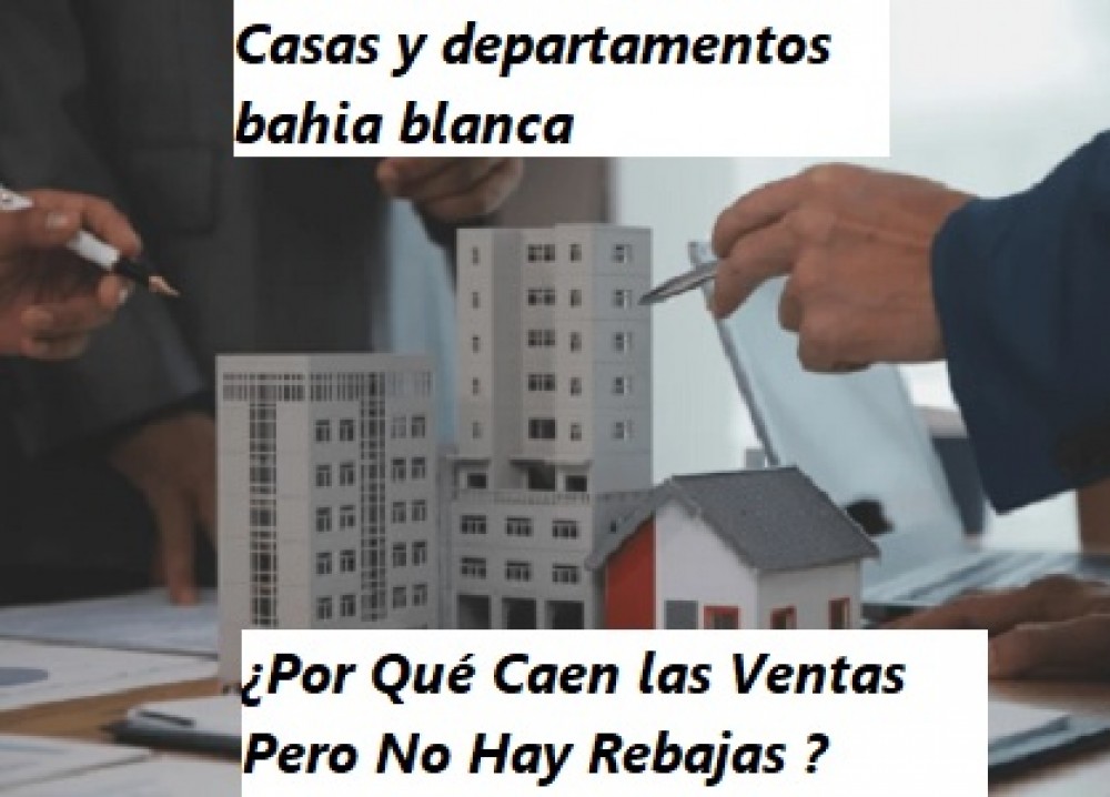 Casas y deptos bahia blanca . ¿Por Qué Caen las Ventas Pero No Hay Rebajas ?