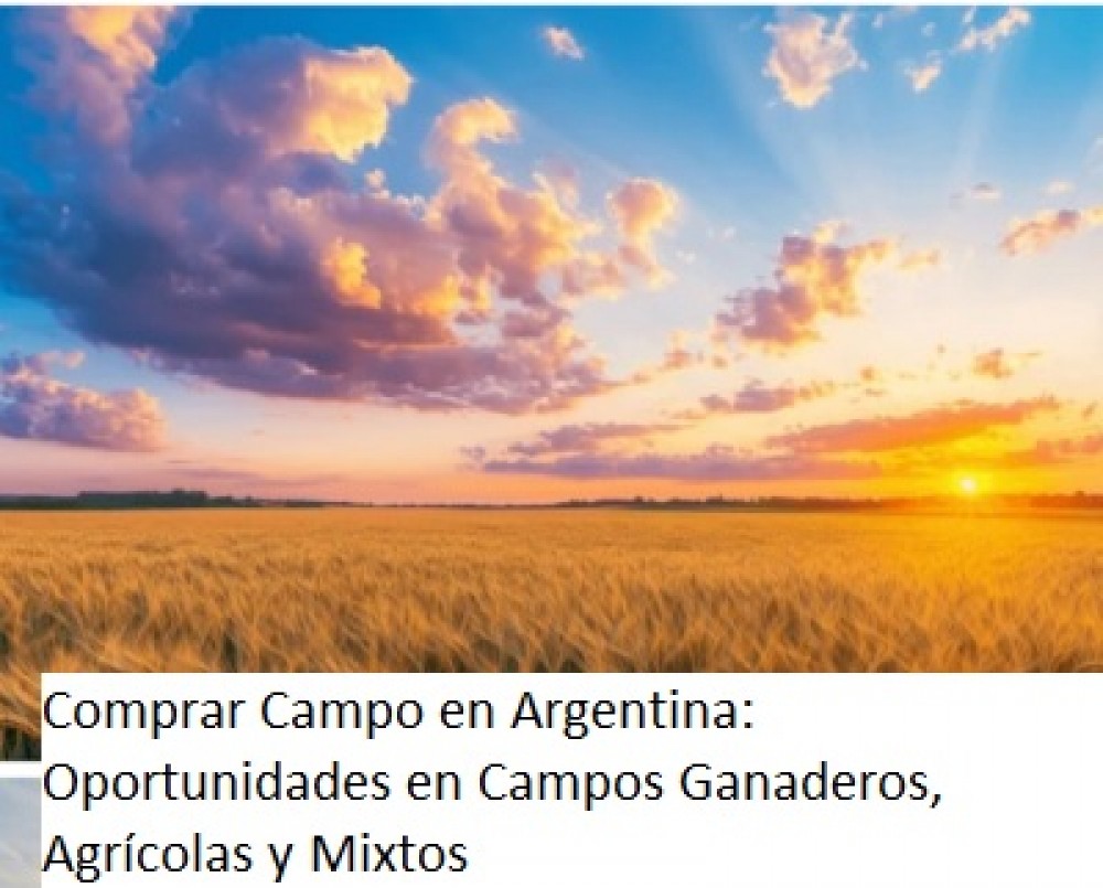 Comprar Campo en Argentina: Oportunidades en Campos Ganaderos, Agrícolas y Mixtos