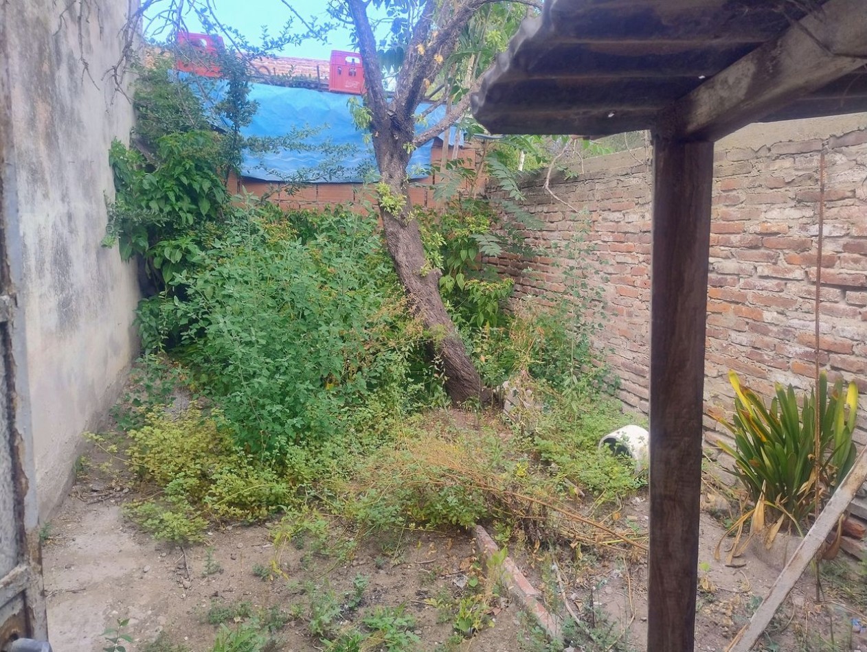 Casa en alquiler con patio en villa mitre 