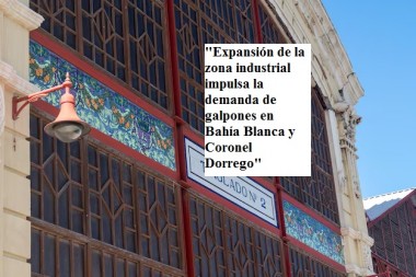 "Expansión de la zona industrial impulsa la demanda de galpones en Bahía Blanca y Coronel Dorrego"