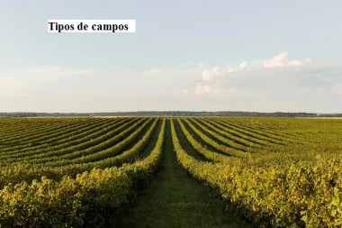 Tipos de campos en venta