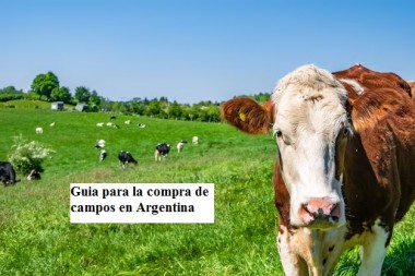 Guia para la compra de  campos en Argentina