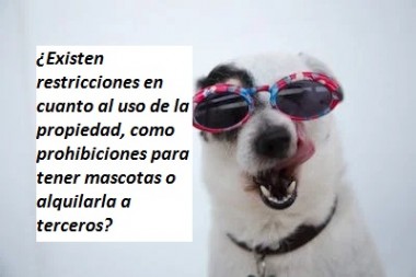 ¿Existen restricciones en cuanto al uso de la propiedad, como prohibiciones para tener mascotas o alquilarla a terceros?