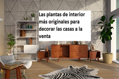 Las plantas de interior más originales para decorar las casas a la venta 