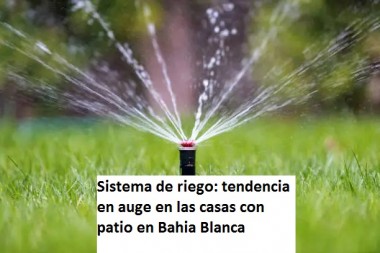 Buscando casas con patio en Bahia Blanca. El Sistema de riego en el patio.  