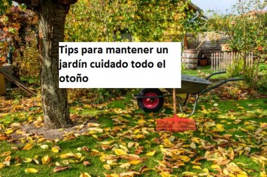 Tips para mantener un jardín cuidado todo el otoño