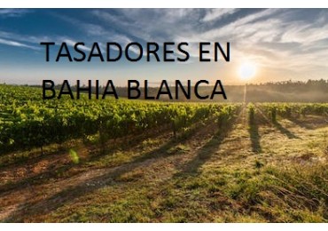Tasadores