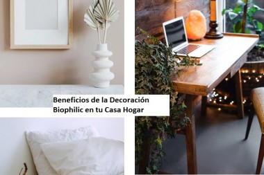  Beneficios de la Decoración Biophilic en Casas y departamentos 