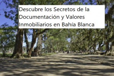 Descubre los Secretos de la Documentación y Valores Inmobiliarios en Bahía Blanca: Consejos Exclusivos de Inmobiliaria Ricardo Propiedades