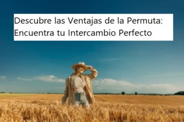 Descubre las Ventajas de la Permuta: Encuentra tu Intercambio Perfecto 