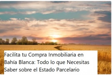 Facilita tu Compra Inmobiliaria en Bahía Blanca: Todo lo que Necesitas Saber sobre el Estado Parcelario y Cómo Inmobiliaria Ricardo Propiedades Puede Ayudarte