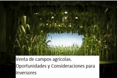 Venta de campos agricolas. Oportunidades y Consideraciones para Inversores 