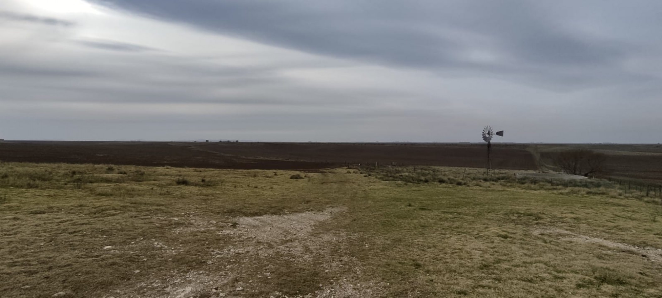 CAMPO MIXTO EN VENTA EN CORONEL DORREGO