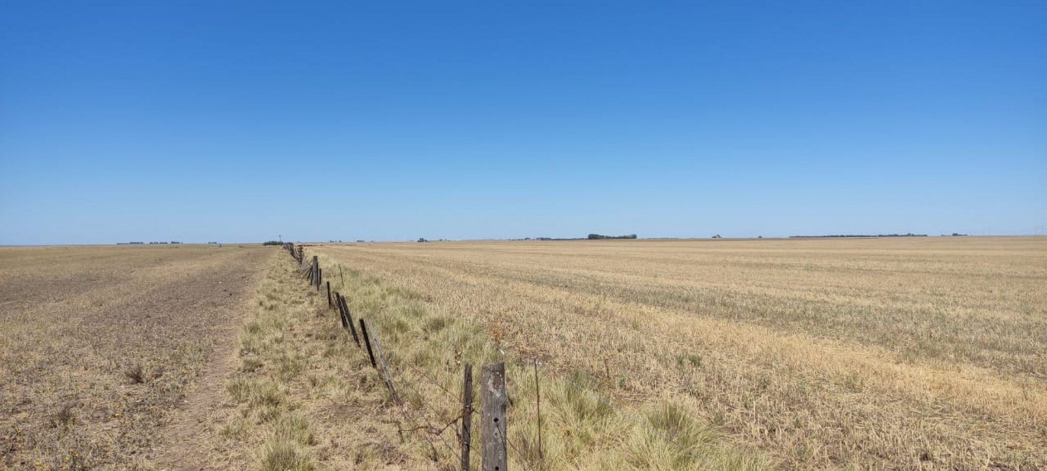 CAMPO AGRICOLA EN CORONEL DORREGO EN VENTA