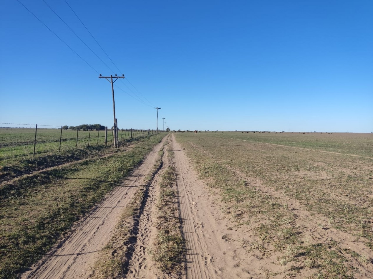 CAMPO EN MEDANOS