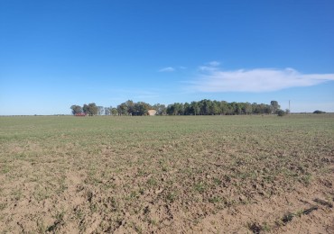 CAMPO EN MEDANOS